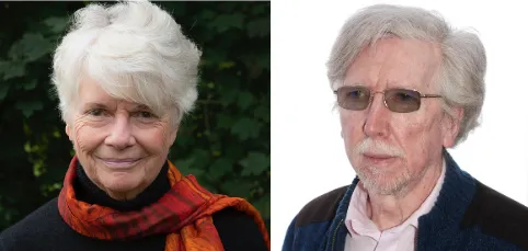 WEBINAR: Neurofeedback and DBR: A Breakthrough in the Treatment of Developmental Trauma